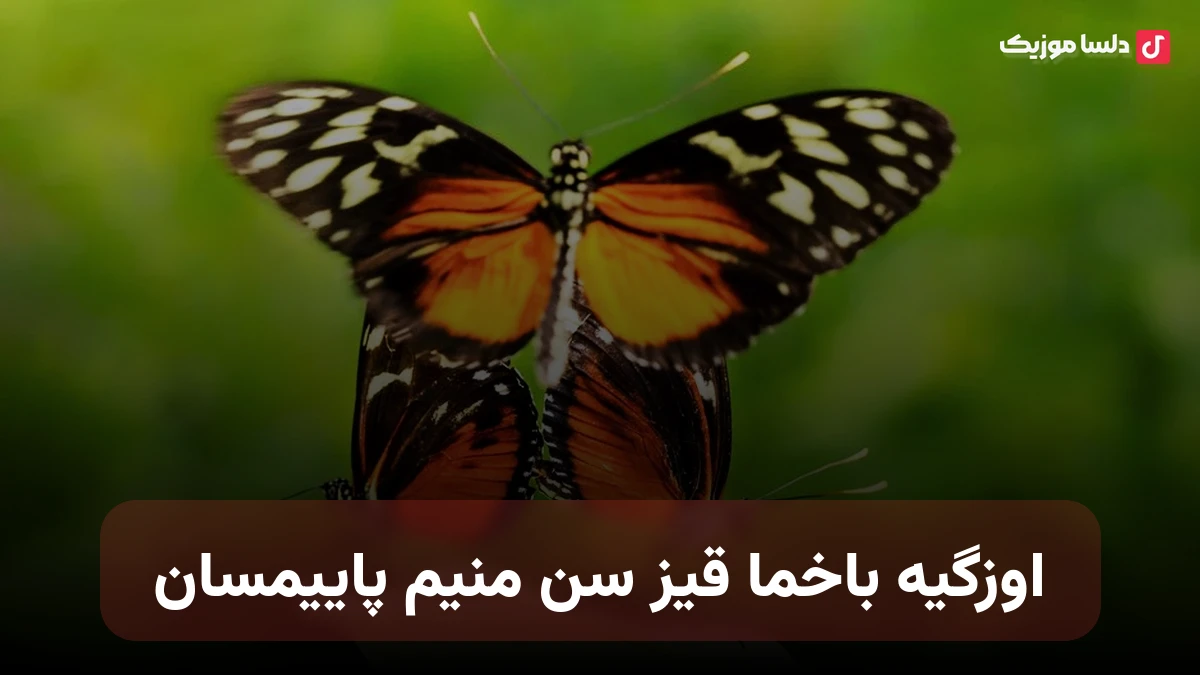 اوزگیه باخما قیز سن منیم پاییمسان ترکی